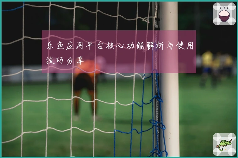 乐鱼应用平台核心功能解析与使用技巧分享