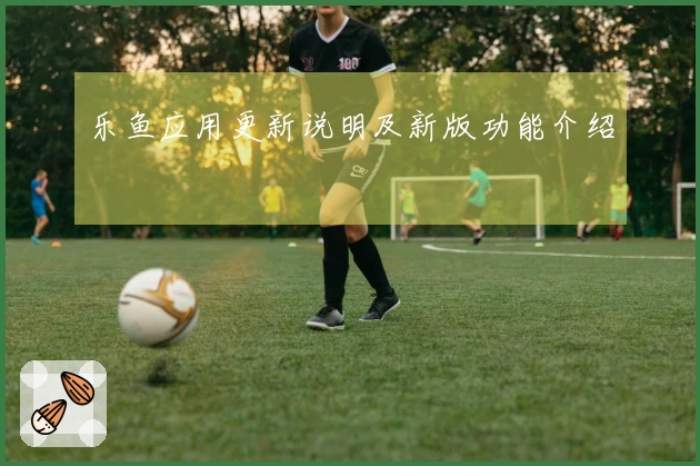 乐鱼应用更新说明及新版功能介绍