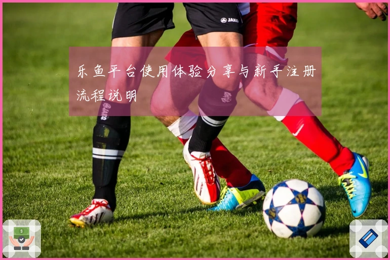 乐鱼平台使用体验分享与新手注册流程说明