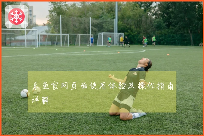 乐鱼官网页面使用体验及操作指南详解
