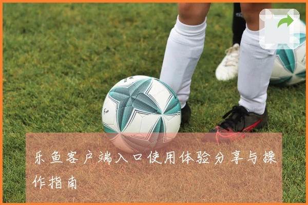 乐鱼客户端入口使用体验分享与操作指南