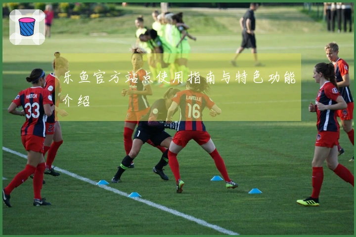 乐鱼官方站点使用指南与特色功能介绍